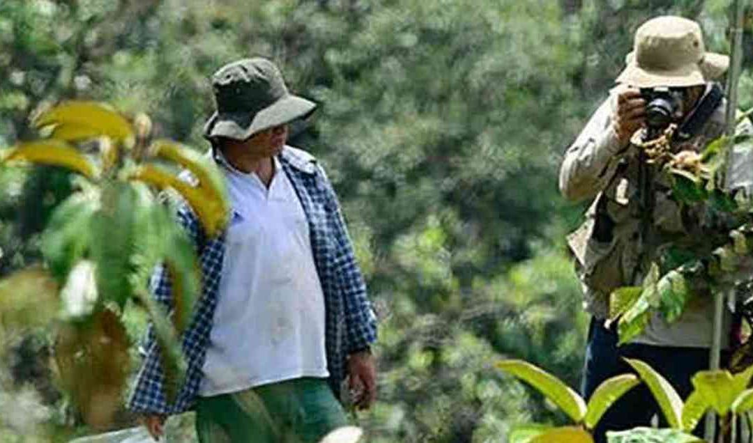 Colombia: a contar historias con responsabilidad social