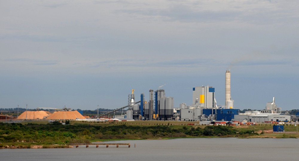 Sociedad civil de Uruguay se opone a una nueva planta de celulosa