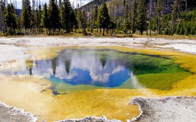 Encuentran en Yellowstone una bacteria capaz de combatir problemas ambientales