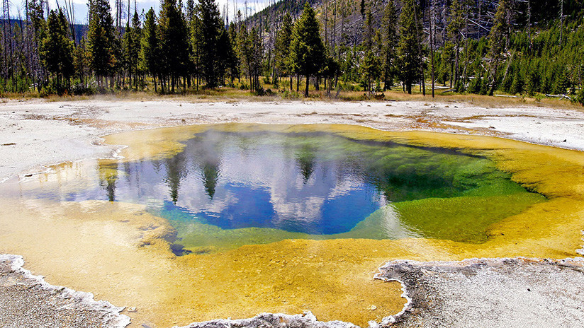 Encuentran en Yellowstone una bacteria capaz de combatir problemas ambientales