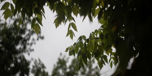 El otoño comienza con buenas perspectivas climáticas