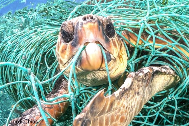 WWF pide un acuerdo global contra los plásticos