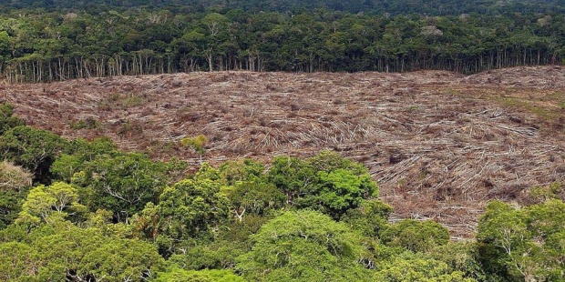 La deforestación en Brasil subirá la temperatura del país