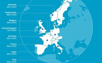 El 74% del aceite de palma que usa la industria alimentaria en Europa está certificado, según un estudio
