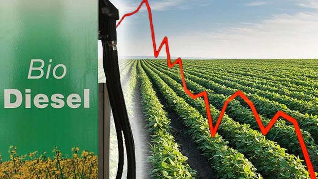 Crisis con el biodiésel argentino