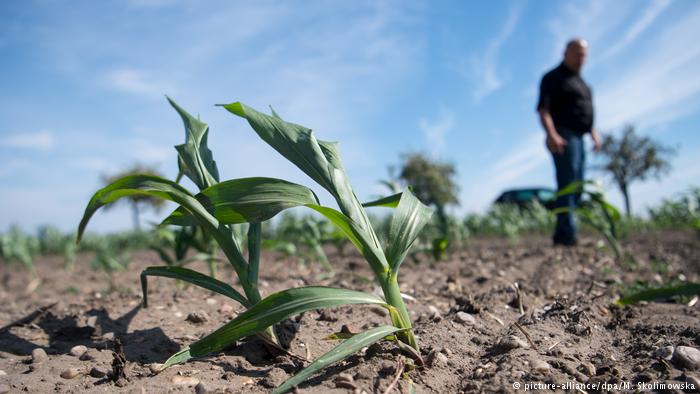 Sistema de alerta temprana de sequías en Alemania