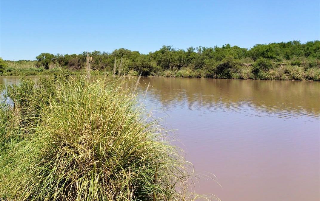 A fin de año habilitarían la reserva del río Cuarto: buscan mitigar el deterioro ambiental