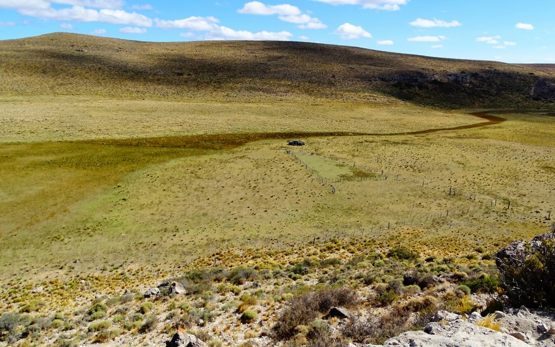 La relación entre pastizales naturales y cambio climático