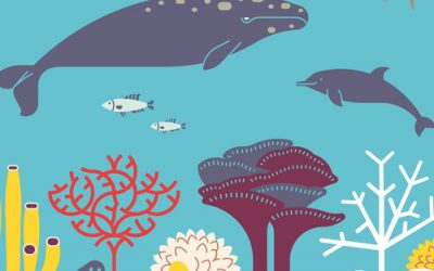 Día Mundial de la Vida Silvestre, 3 de marzo