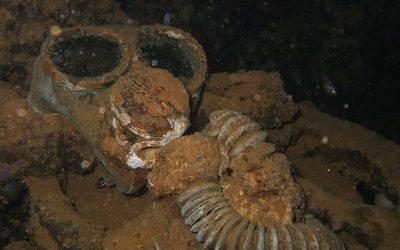 Encuentran huellas de ensayos nucleares en el fondo oceánico