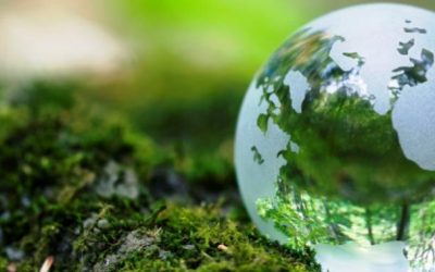 La importancia de las empresas con impacto social o ambiental