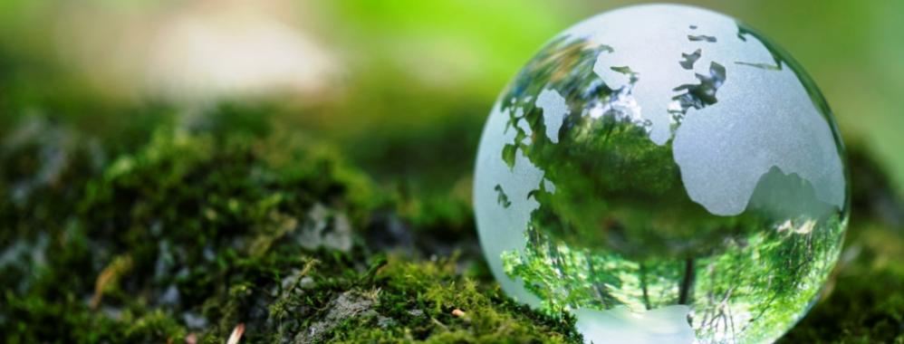 La importancia de las empresas con impacto social o ambiental