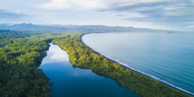 La construcción de un puerto amenaza los ecosistemas
