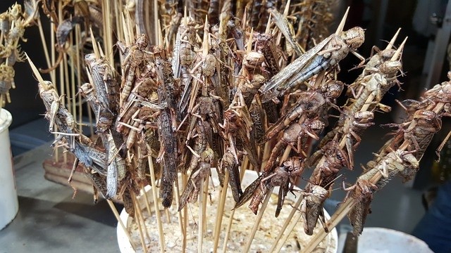 Las dietas podrían salvar el planeta