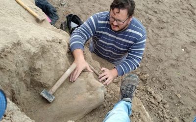 Escolares hallan fósil de mamífero prehistórico en Argentina