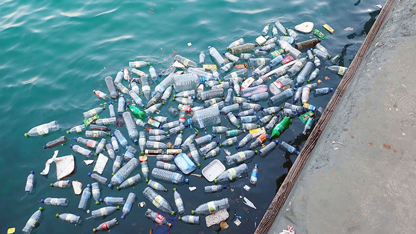 Transmitirán en vivo la descomposición de una botella plástica