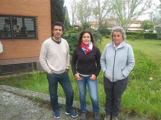 Validan un tratamiento forestal para aumentar la adaptación de los árboles frente al cambio climático