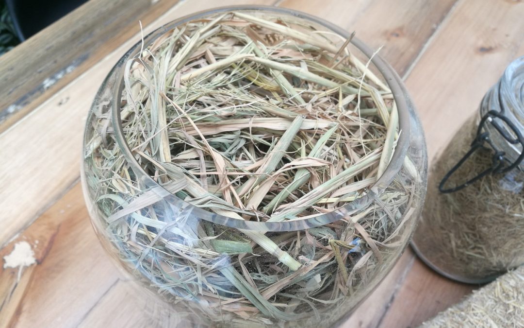 Usan la paja de arroz para crear aislante térmico y acústico en paredes