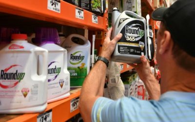 Nueva condena a Monsanto