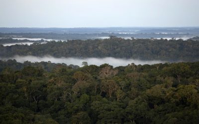 Tribu ecuatoriana salva miles de hectáreas en la Amazonia