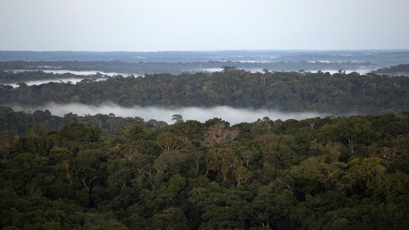 Tribu ecuatoriana salva miles de hectáreas en la Amazonia