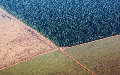 Científicos piden a la Unión Europea que condicione el comercio con Brasil a la protección ambiental y los derechos indígenas