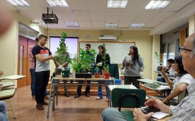 Manual de propagación vegetativa de plantines