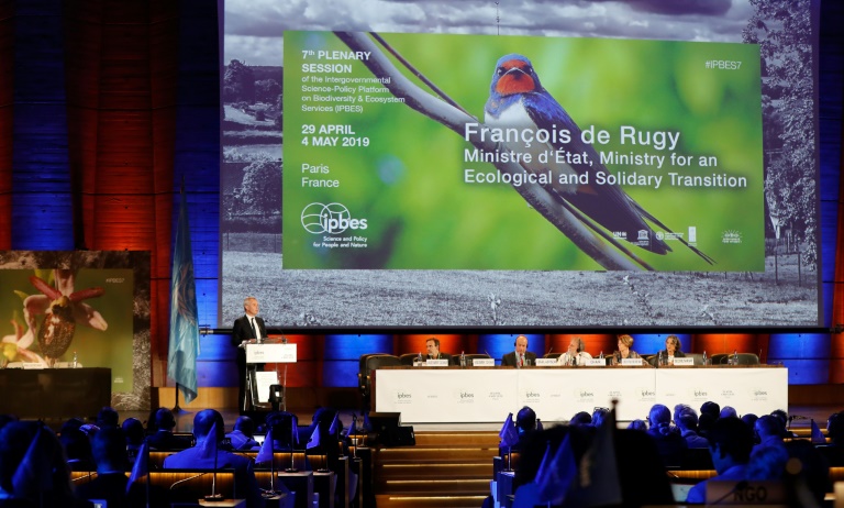 Según expertos, la naturaleza va en declive