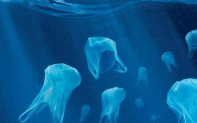 La UE da el último paso para prohibir los plásticos de un solo uso