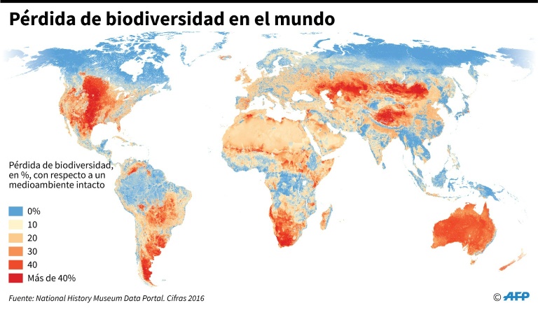 La destrucción de la naturaleza amenaza a la humanidad