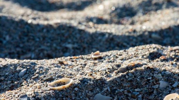 ONU Medio Ambiente: la explotación de arena destruye ríos y mares