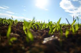 Impulsan proyecto para proteger agrobiodiversidad en Perú