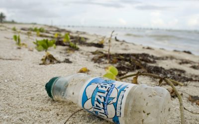 Descubren fragmentos de basura en las Islas Cocos