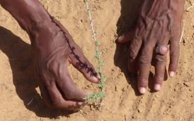Preservar la protección social ante el cambio climático