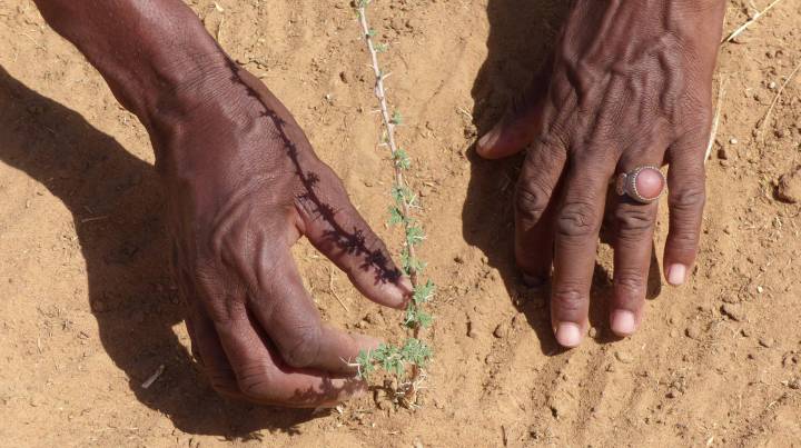 Preservar la protección social ante el cambio climático