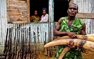 Frenar el tráfico de especies, una meta de la WWF