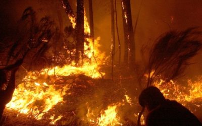 Casi 7.000 hectáreas consumidas por incendios forestales en Guatemala