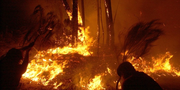 Casi 7.000 hectáreas consumidas por incendios forestales en Guatemala