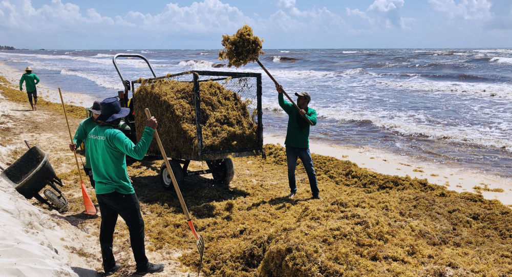 El asombroso calzado fabricado a base de alga y plástico reciclado