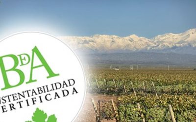 Vinos sustentables