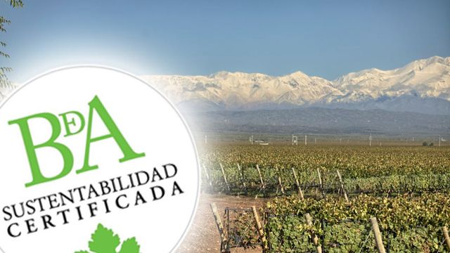 Vinos sustentables