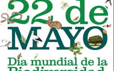 Día Internacional de la Diversidad Biológica – 22 de mayo