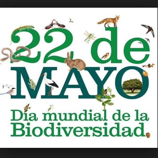 Día Internacional de la Diversidad Biológica – 22 de mayo