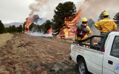 Día internacional del combatiente de incendios forestales – 4 de mayo