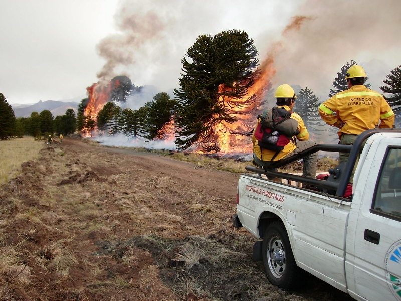 Día internacional del combatiente de incendios forestales – 4 de mayo