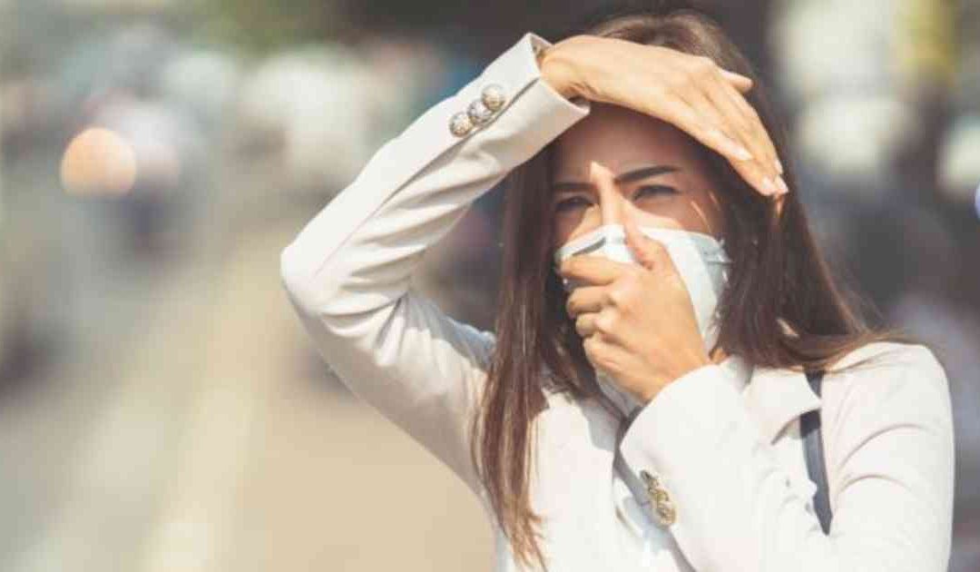 Denuncian al Estado francés por la contaminación