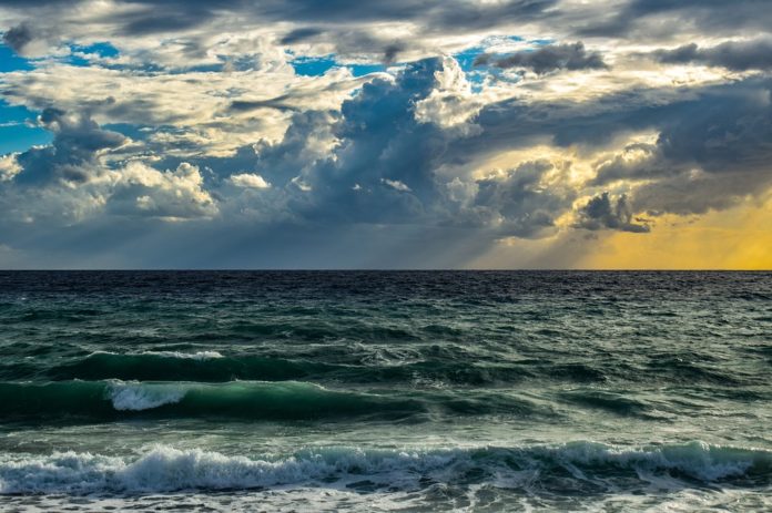 ¿Cuánto disminuyó el oxígeno oceánico?