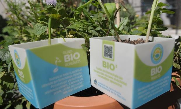 Argentina apuesta a la biomasa renovable