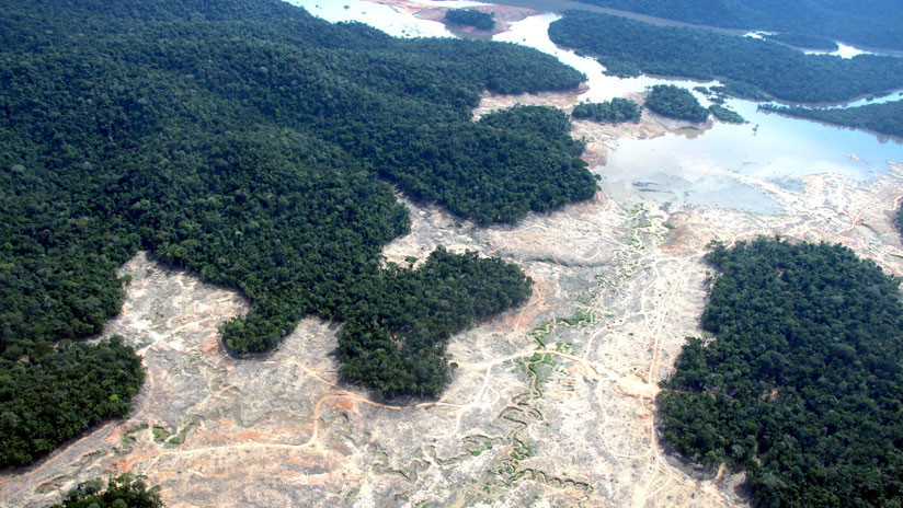 La deforestación del ‘pulmón vegetal del mundo’