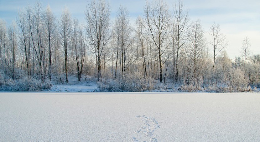 Siberia podría ser habitable para los humanos a final de siglo